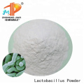 Boost lactic acid freeze dried probiotics OEM Streptococcus Thermophilus powder